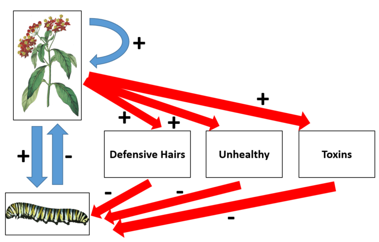 Plant Defenses (general Audience) - Evo-Eco | General